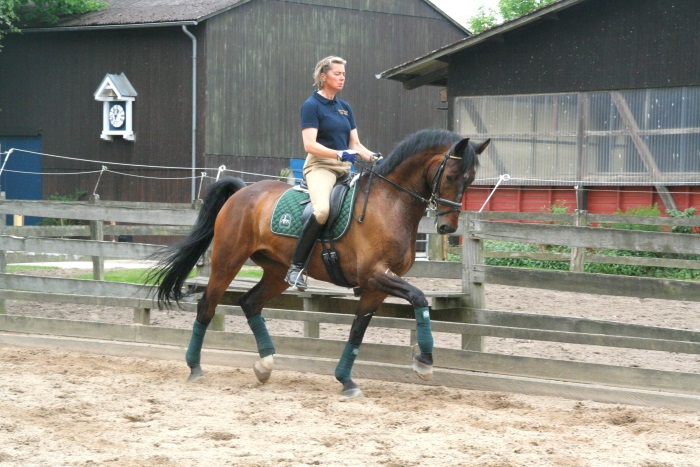 Training in Neversdorf, Juli 2008