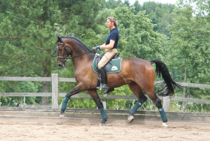 Training in Neversdorf, Juli 2008